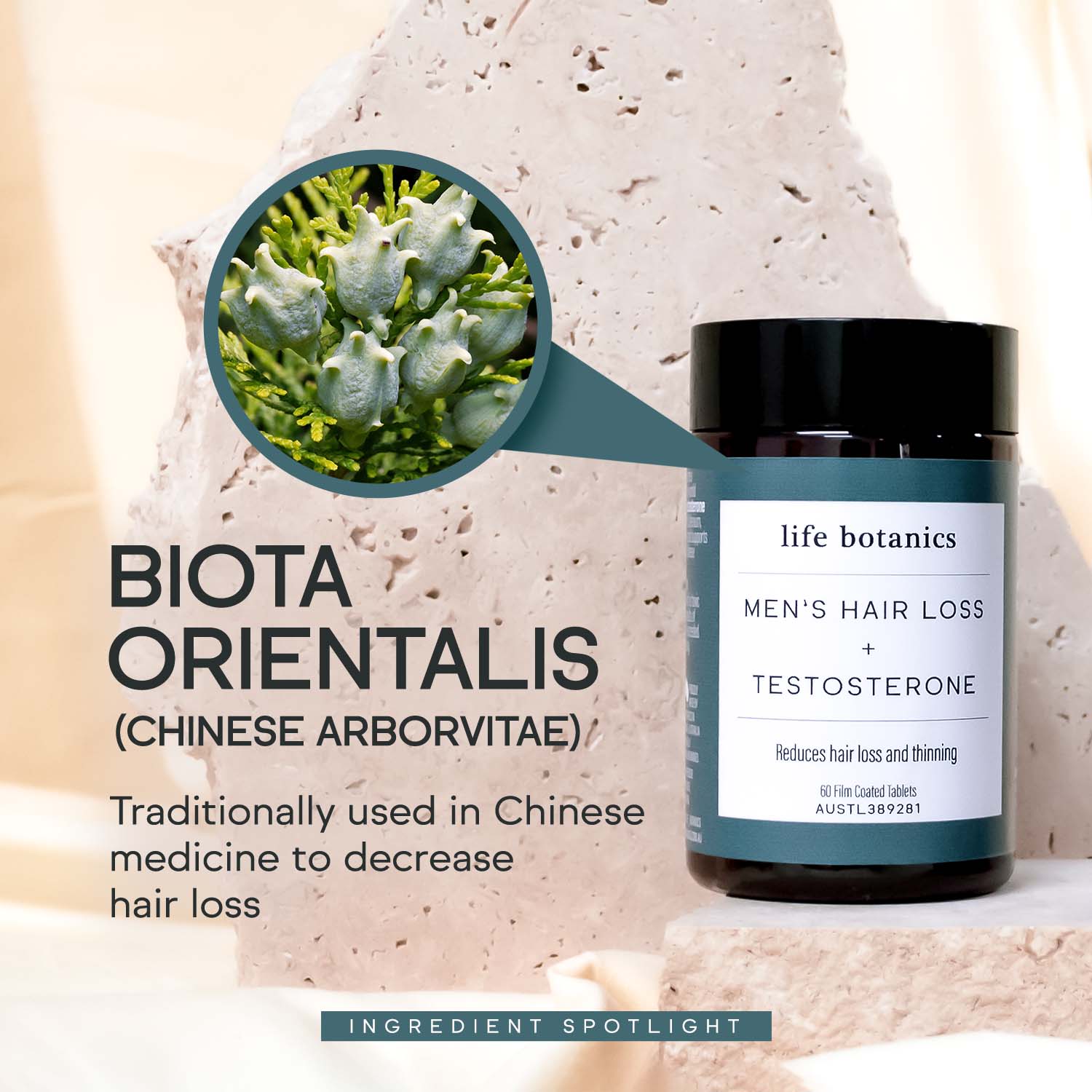 life botanics Men's Hair Loss + Testosterone Biota Orientalis