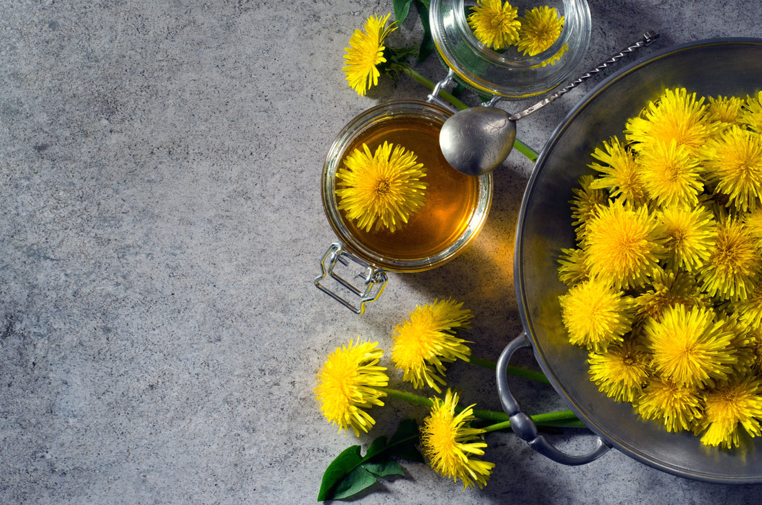 The 10 Health Benefits of Dandelion