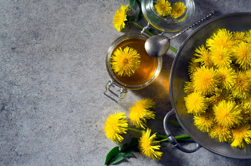 The 10 Health Benefits of Dandelion