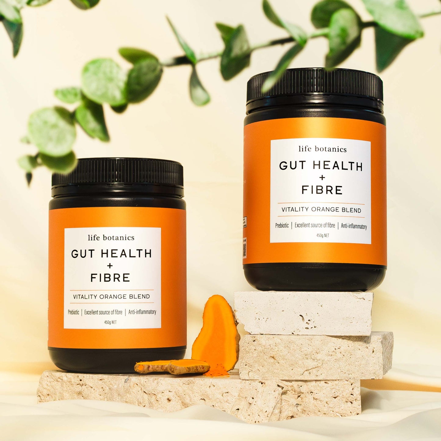 Life Botanics Gut Health + Fibre 450g
