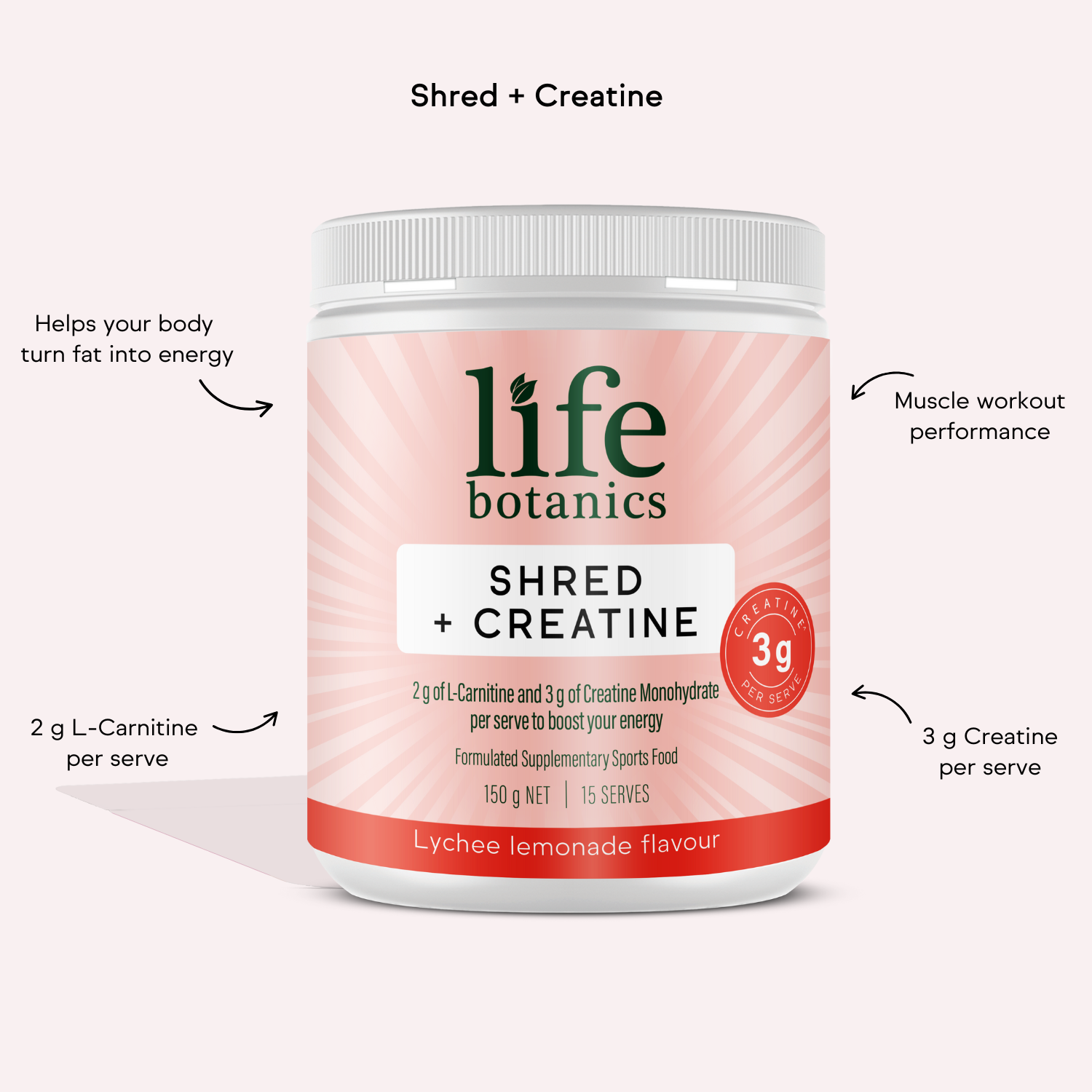 acetil l carnitina integratore Acetil Carnitina - 60 Capsule - Per sportivi adulti acetil l carnitina integratore Acetil Carnitina - 60 Capsule - Per sportivi adulti