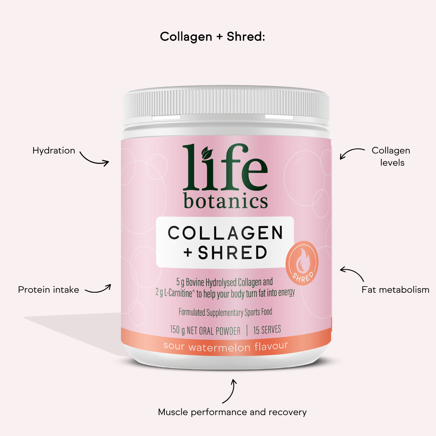 Life Botanics Best of Collagen & Beauty Kit — Collagen + Shred, Pure Marine Collagen, Energy + Hair Gummies and Vitamin C Gummies bundle on a cream background