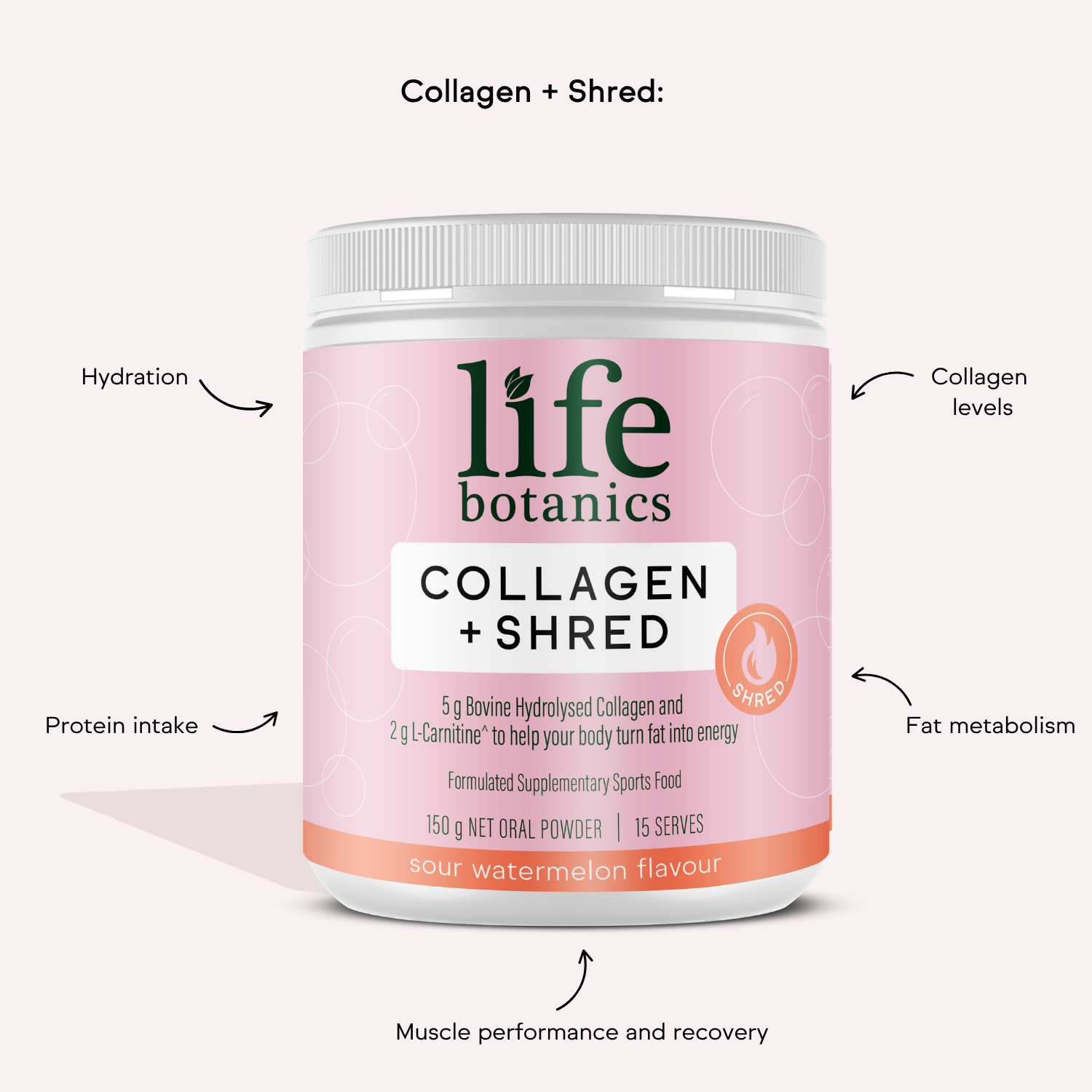 Life Botanics Best of Collagen & Beauty Kit — Collagen + Shred, Pure Marine Collagen, Energy + Hair Gummies and Vitamin C Gummies bundle on a cream background