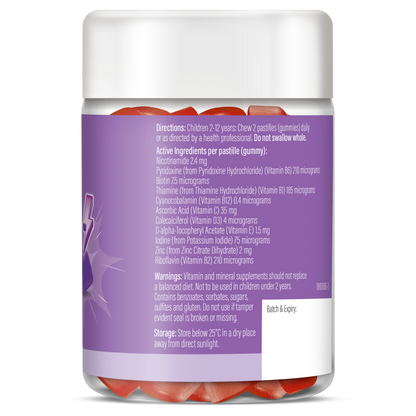 Life Botanics Kids Multivitamin Gummies 90s — right side panel / back label