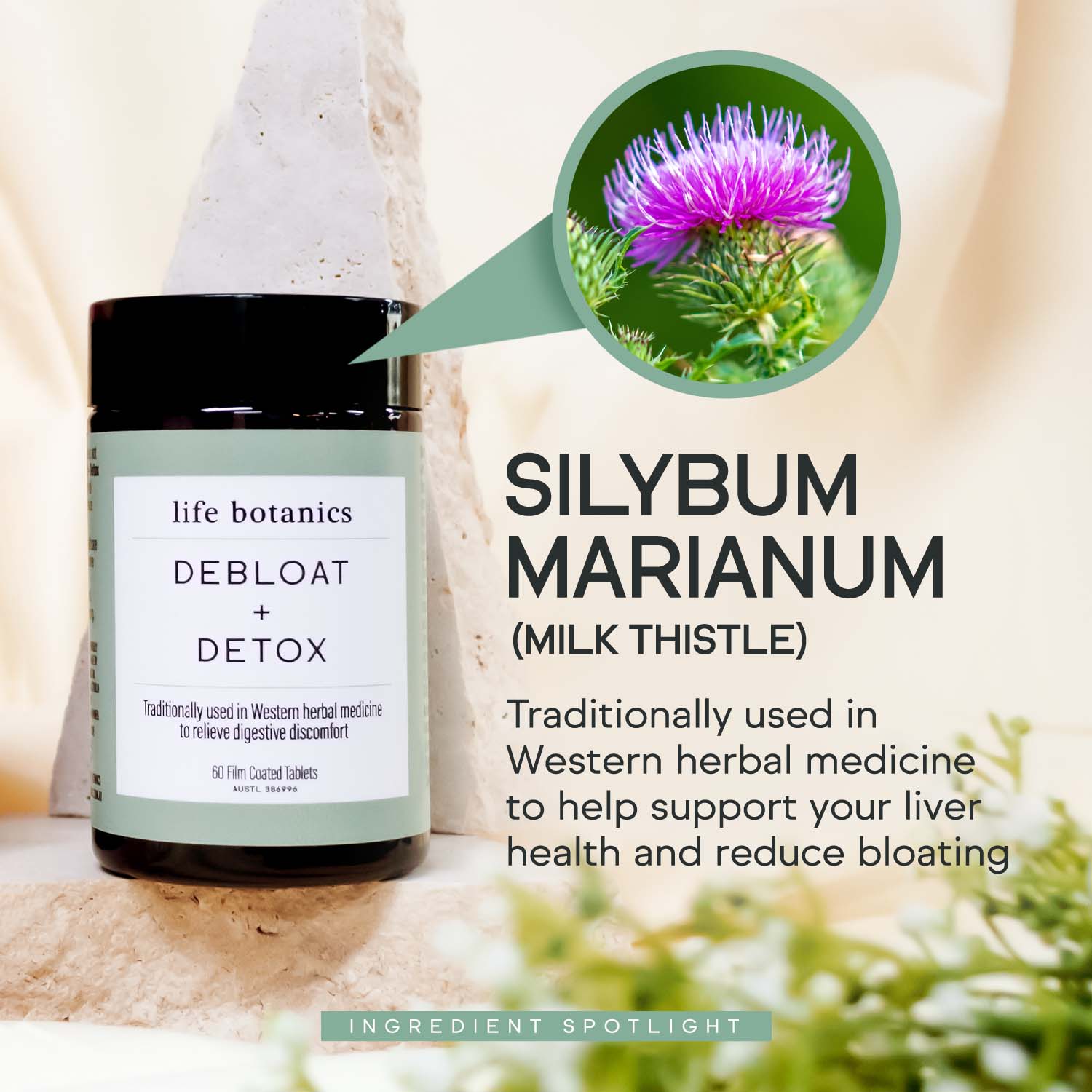 life botanics Debloat + Detox Silybum Marianum 180