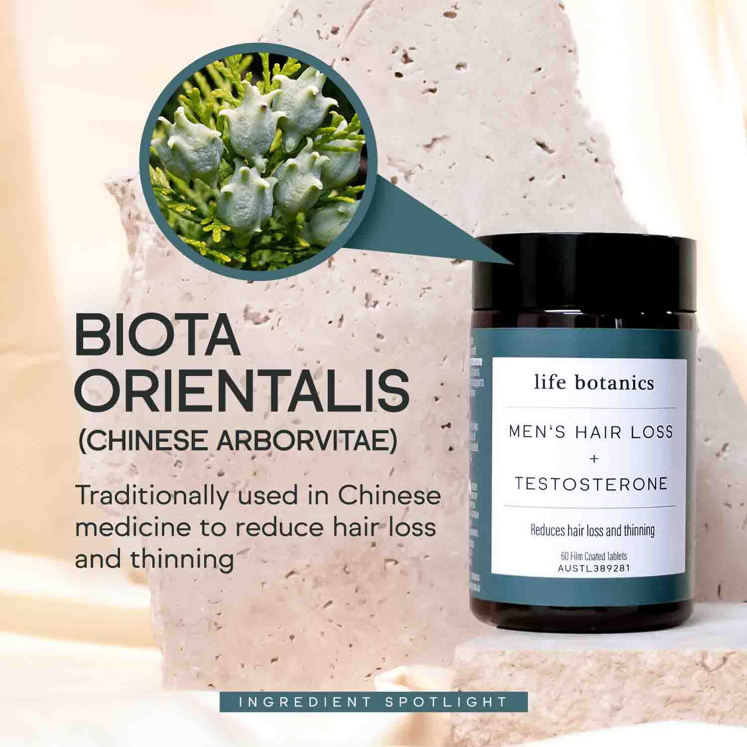 life botanics Men's Hair Loss + Testosterone Biota Orientalis 180